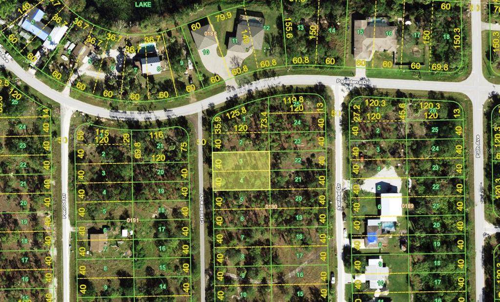 13036 Crinoline Drive - Photo 1