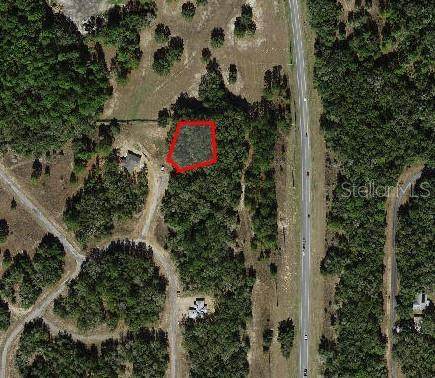 11231 Denice Point - Photo 1