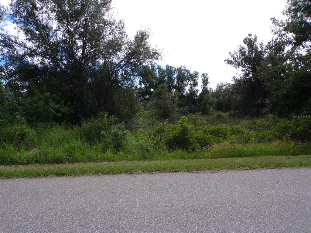 36 Vine Circle - Photo 1