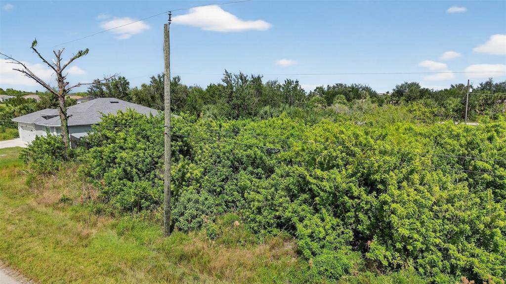 8044 Thruso Road - Photo 1