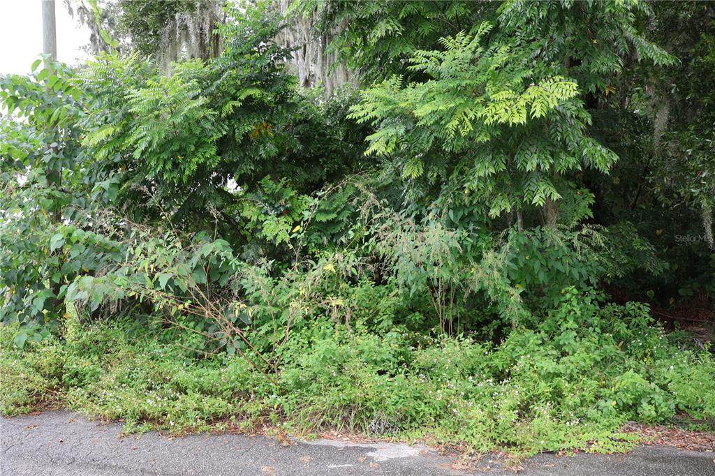 3330 11TH Avenue - Photo 1