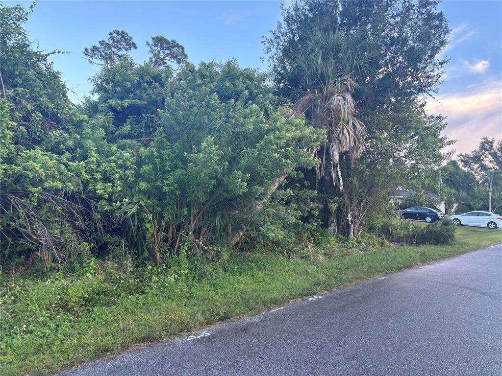 773 Red Bay Street - Photo 1