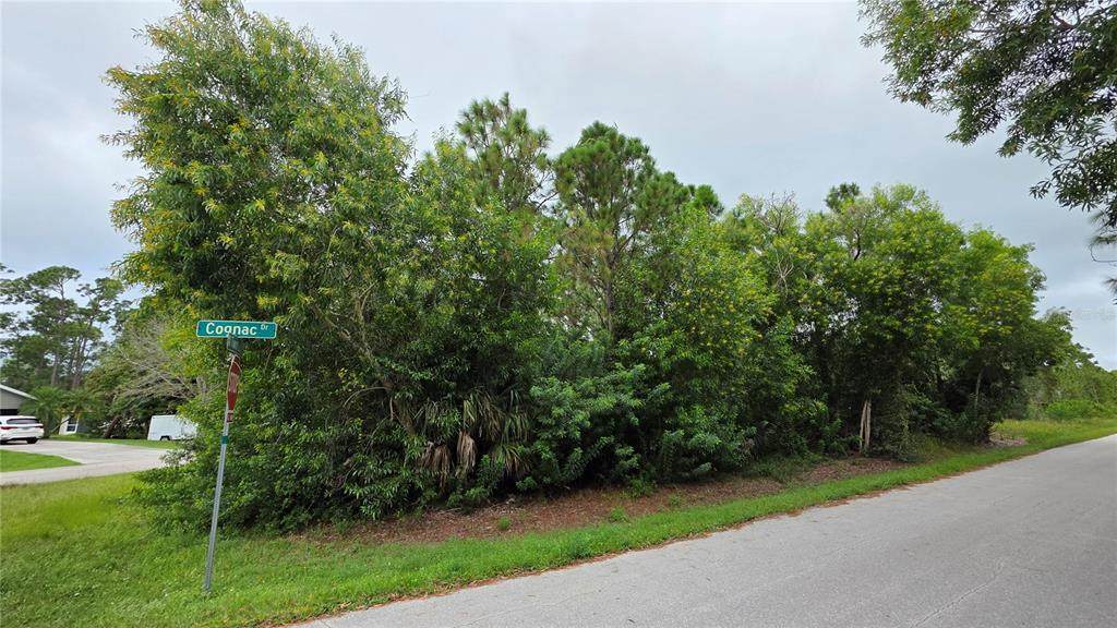 12339 Cognac Drive - Photo 1