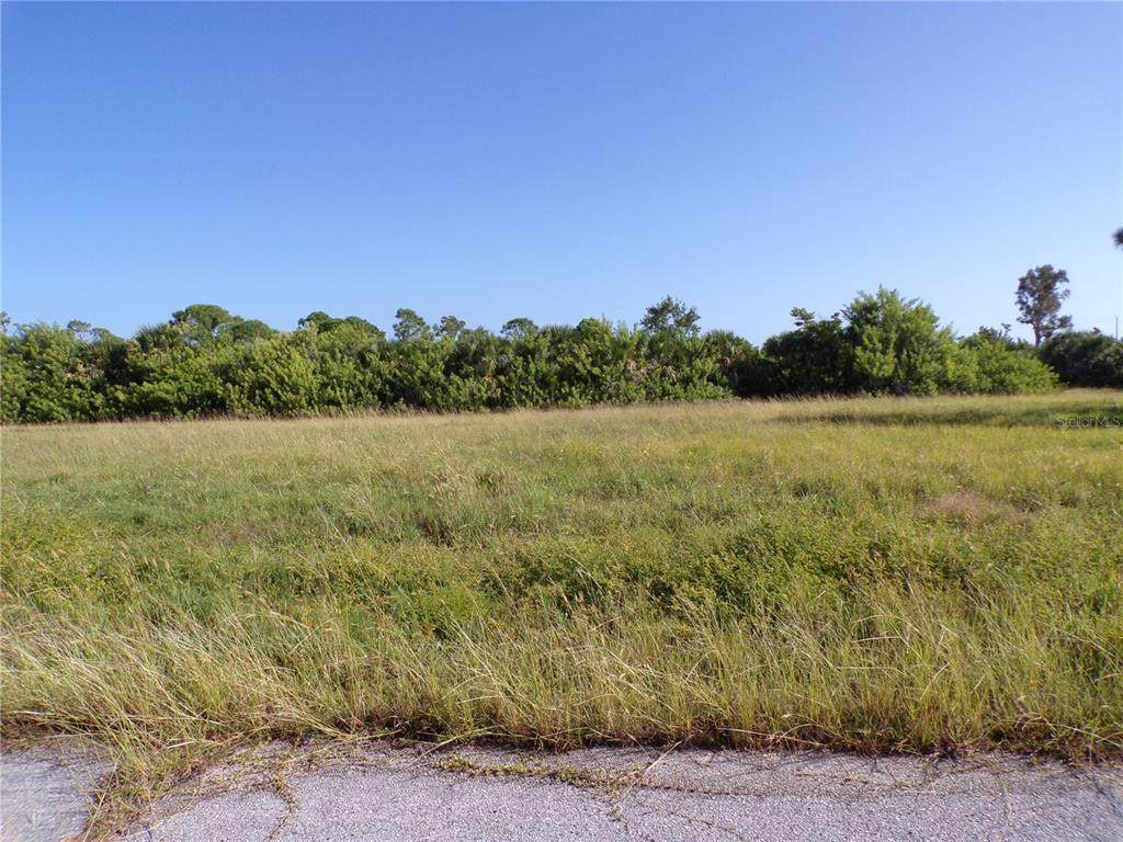 13384 Alewife Lane - Photo 1