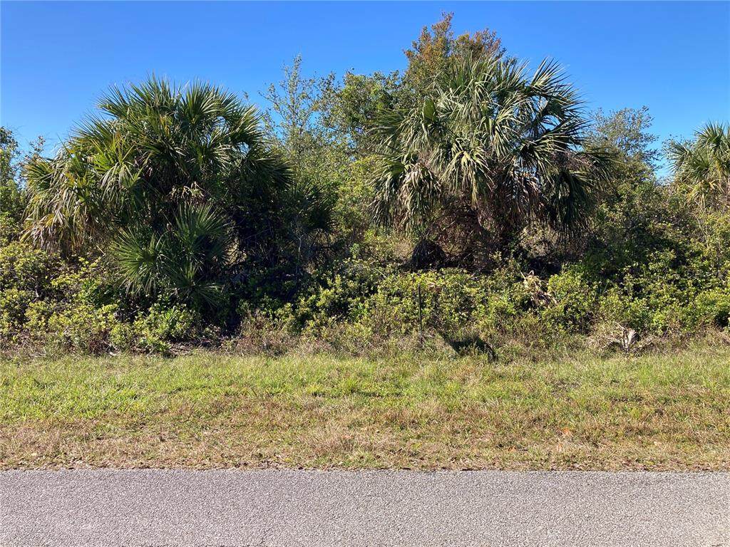 13395 Bouvardia Lane - Photo 1