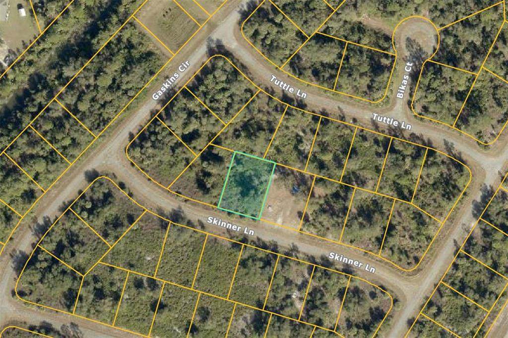 TBD Skinner Lane - Photo 1