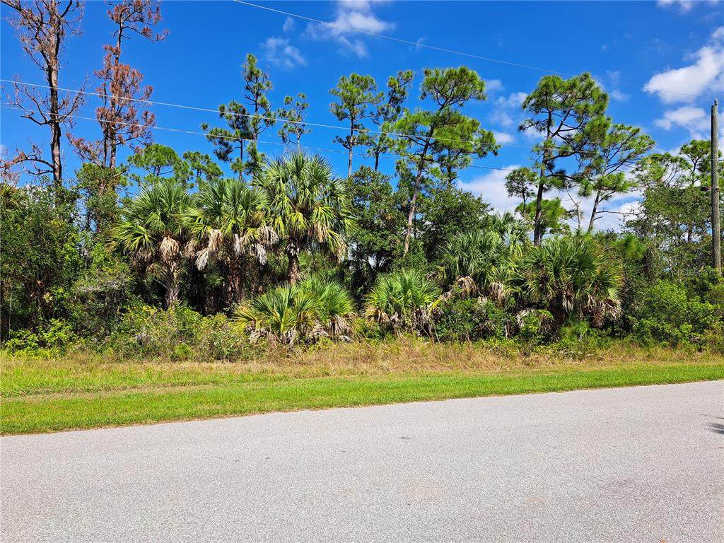 15010 Carousel Lane - Photo 1