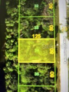 271 Ravenswood Boulevard - Photo 1