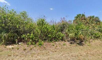 335 Flynn Street - Photo 1