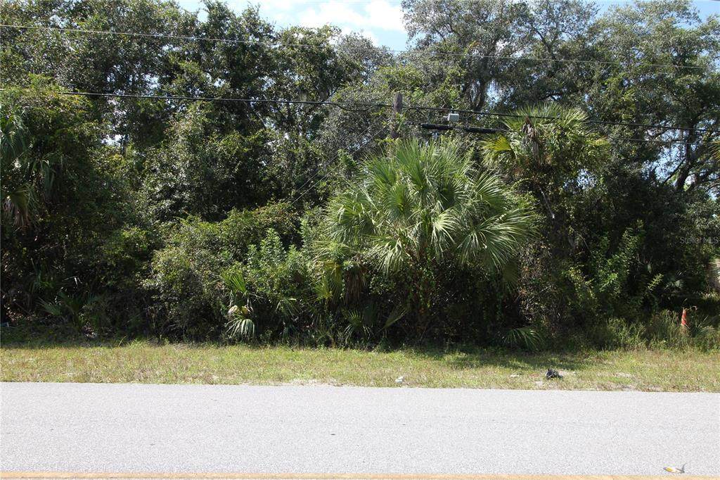  Hillsborough Boulevard - Photo 1