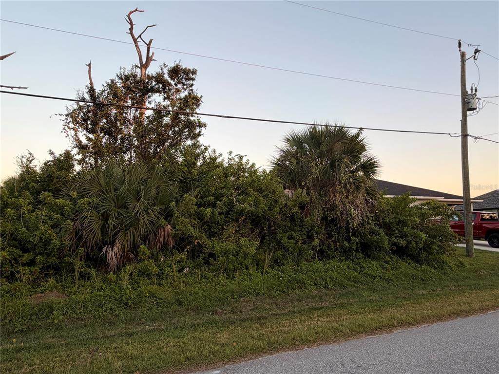 113 Opal Dr - Photo 1