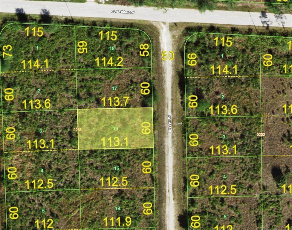 13213 Bissell Drive - Photo 1