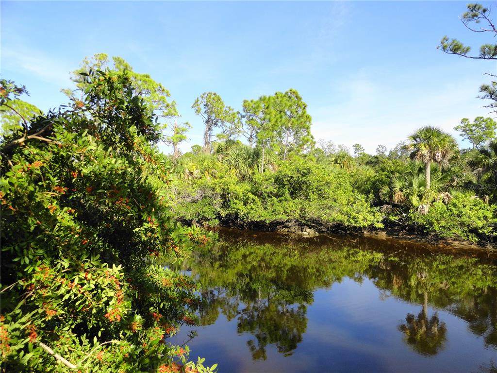 2146 Mccleod Street - Photo 1