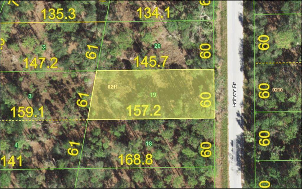 13155 Caloosa Drive - Photo 1