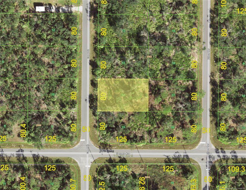 1520 Capel Street - Photo 1