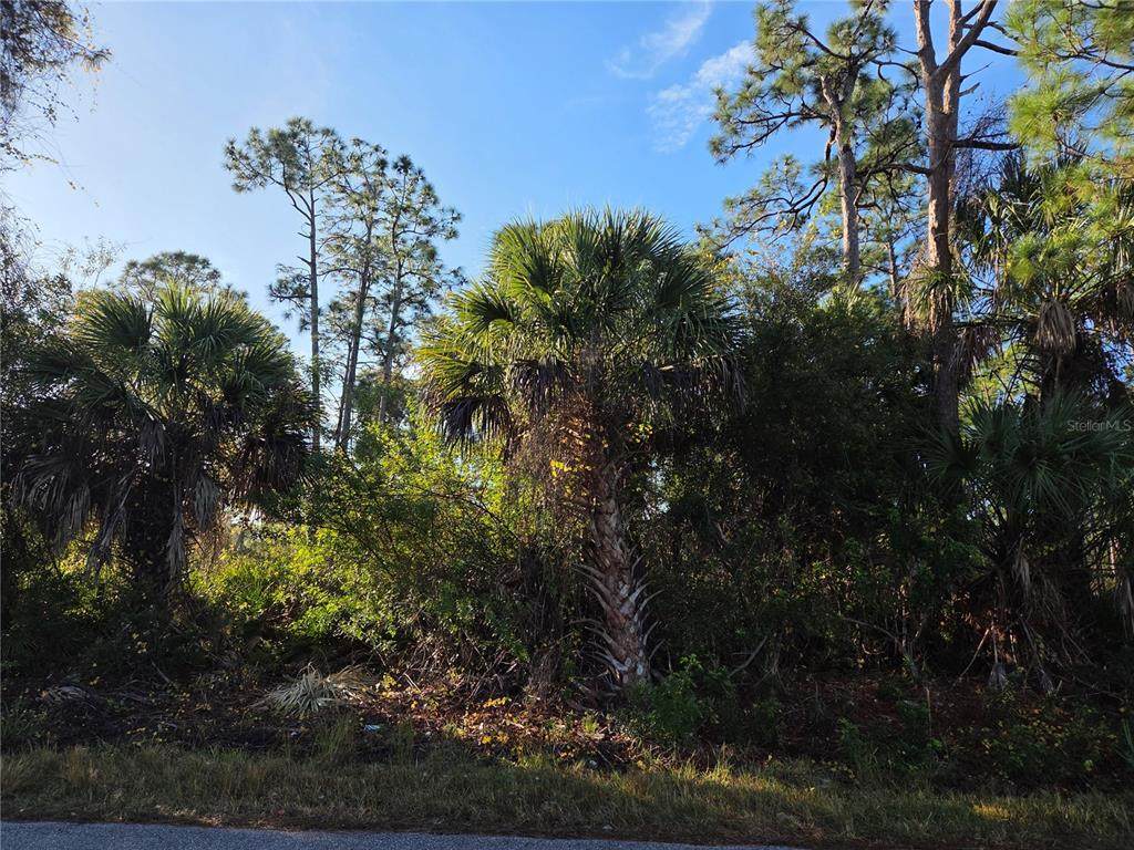 23507 Spencer Court - Photo 1