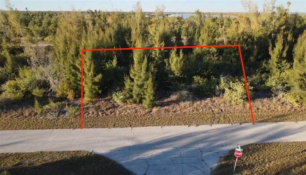 10549 Abello Road - Photo 1