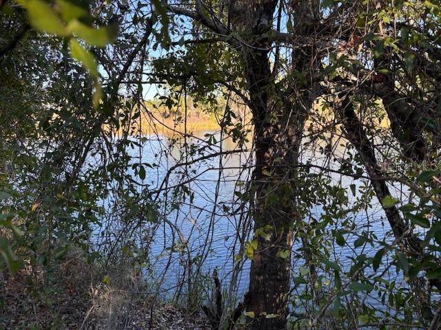 13636 Sulky Drive - Photo 1