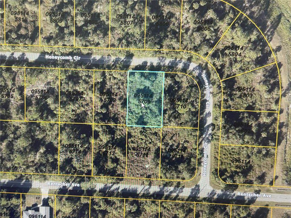 Lot 9 Honeycomb Circle - Photo 1