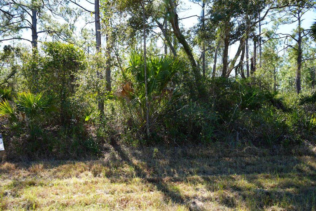 13101 Rankin Avenue - Photo 1