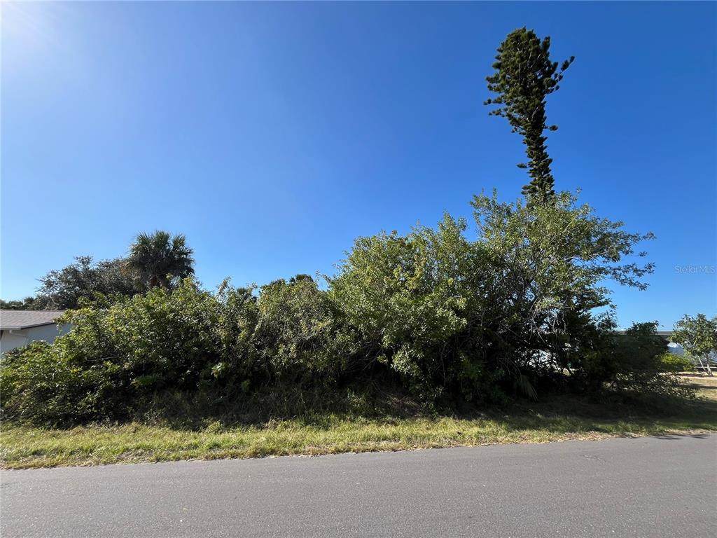 4231 Oneill Street - Photo 1