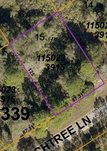 LOT 15 Peachtree Lane - Photo 1