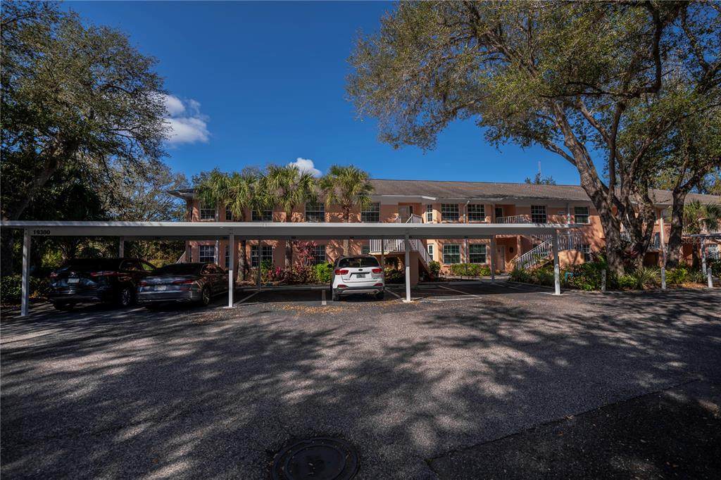 19300 Water Oak Drive - Photo 1