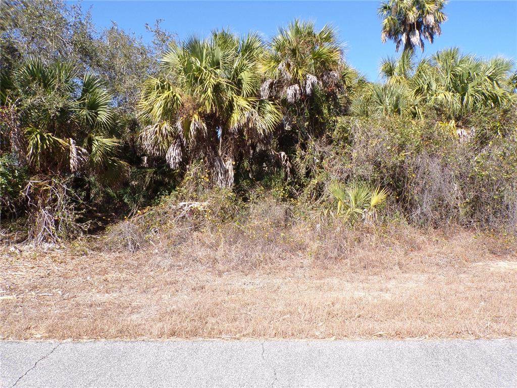  Las Almanos Avenue - Photo 1