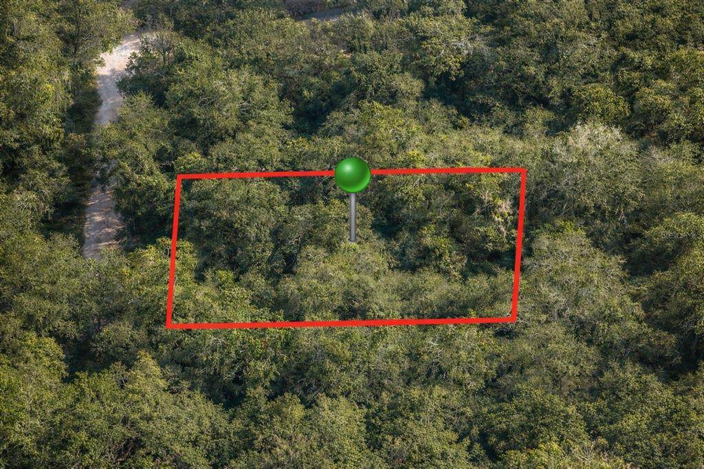 6619 Canopy Terrace - Photo 1