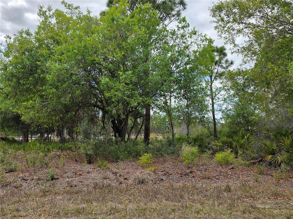 3337 Swanee Road - Photo 1