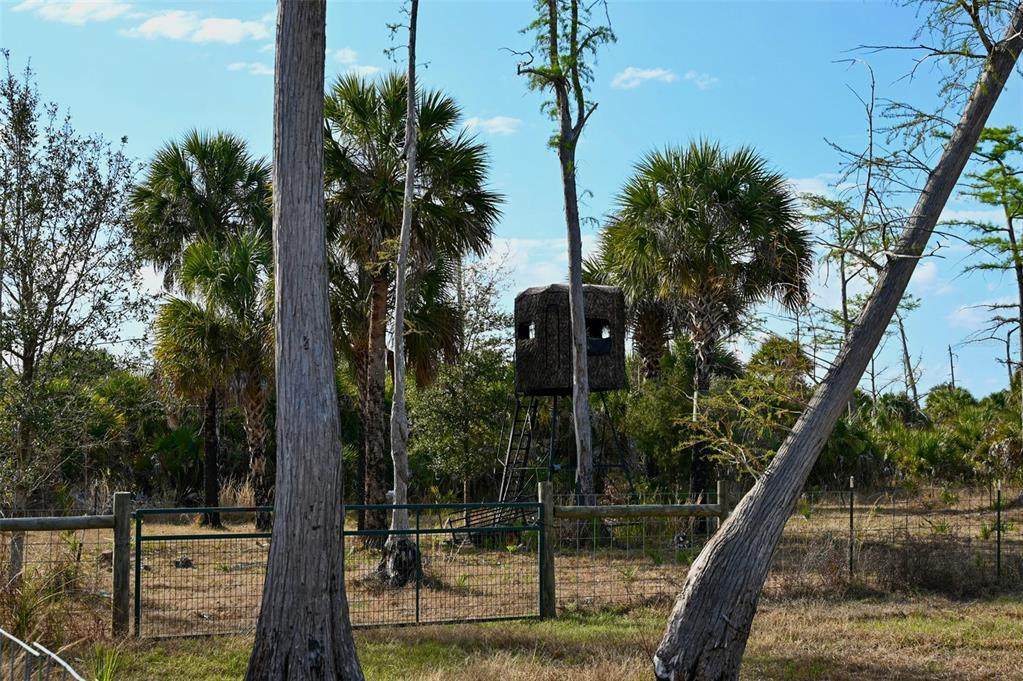 Black Burn Road - Photo 1