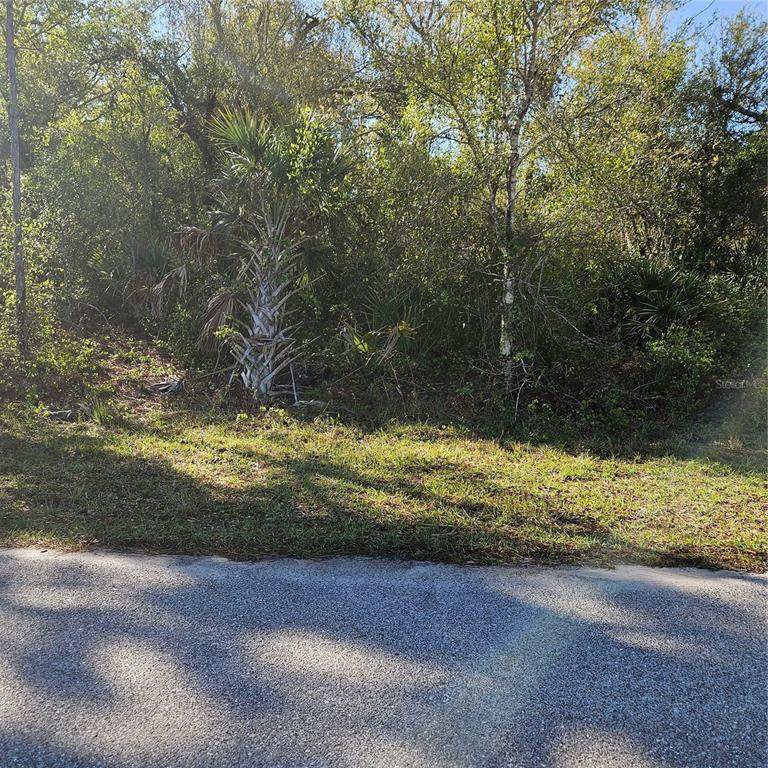  Jaffe Lane - Photo 1