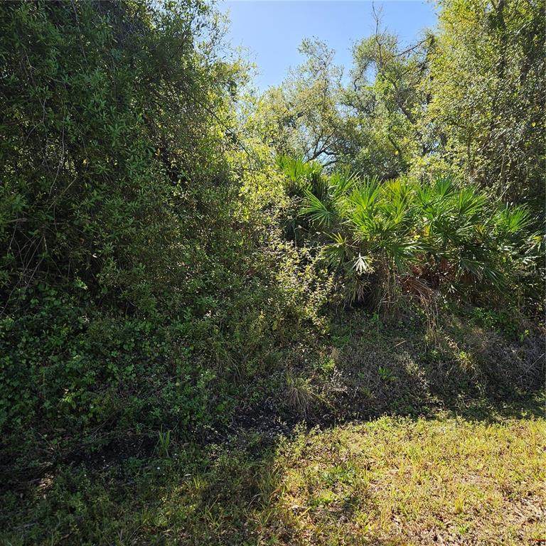  Janaro Road - Photo 1