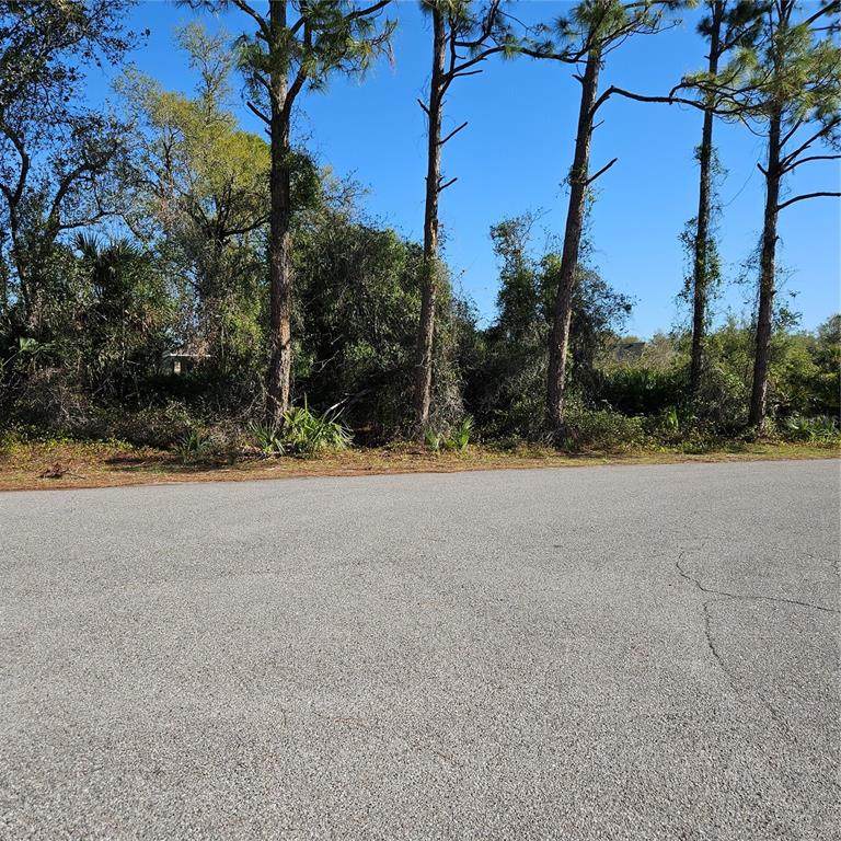 Janaro Road - Photo 1