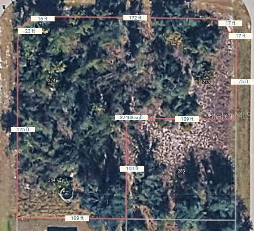 273 Omen Street - Photo 1