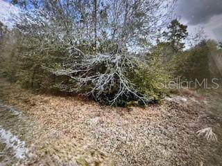 13274 Caloosa Drive - Photo 1
