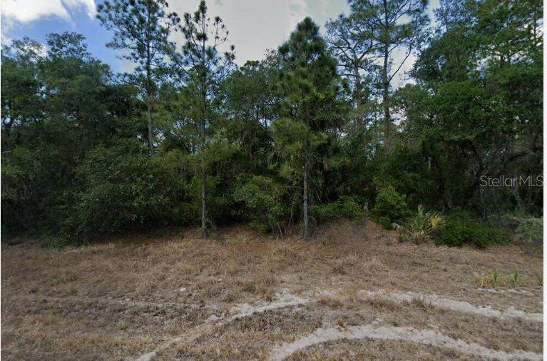 279 Juper Street - Photo 1