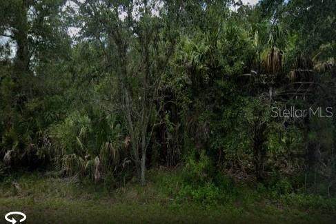 435 Edgar Street - Photo 1