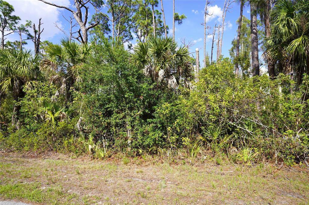 510 Dailey Street - Photo 1