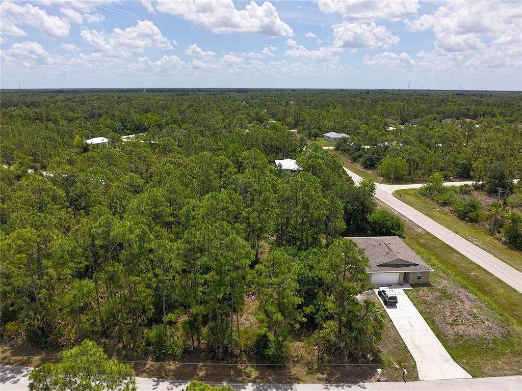12262 Ripple Drive - Photo 1