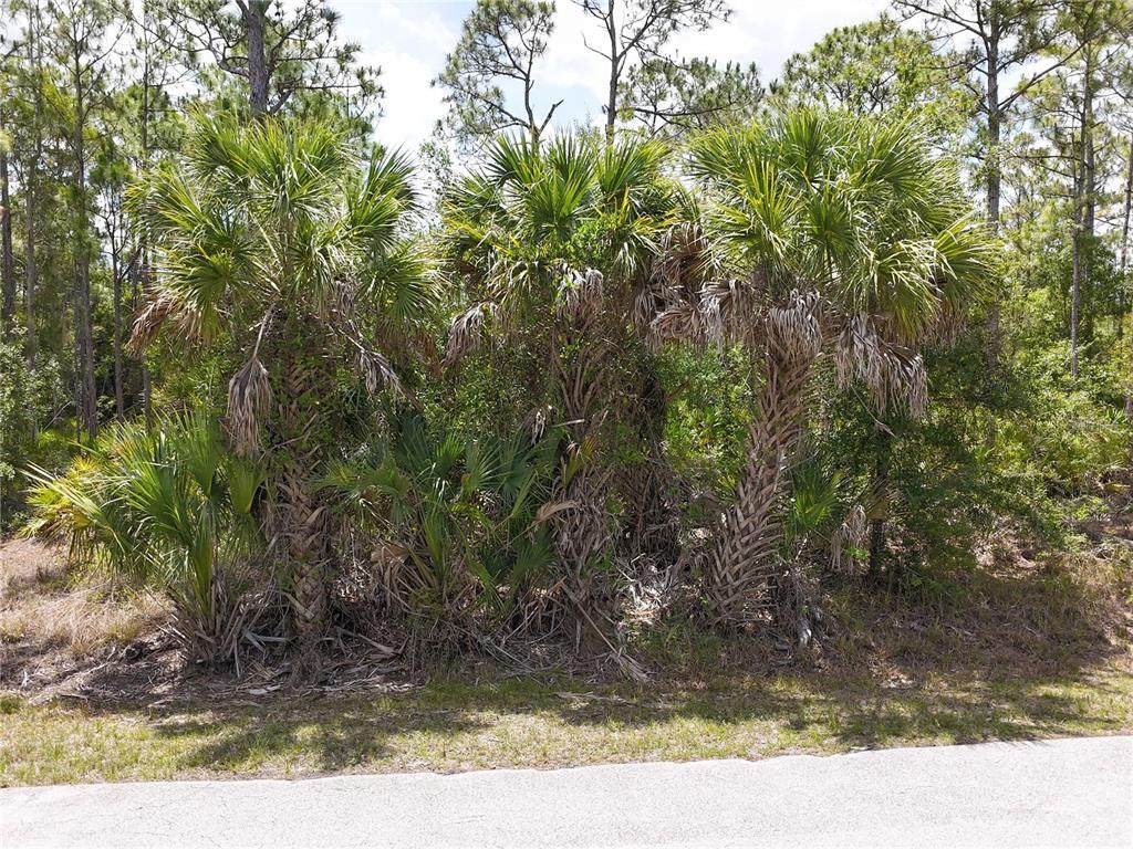 12226 Ripple Drive - Photo 1