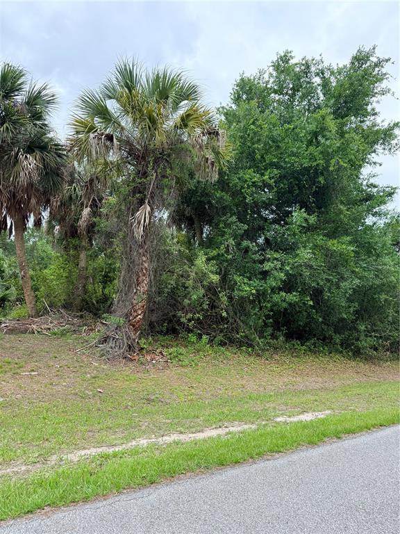 12192 Chamberlain Boulevard - Photo 1