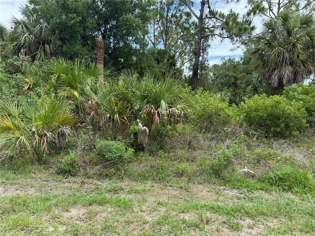 22404 Seyburn Terrace - Photo 1
