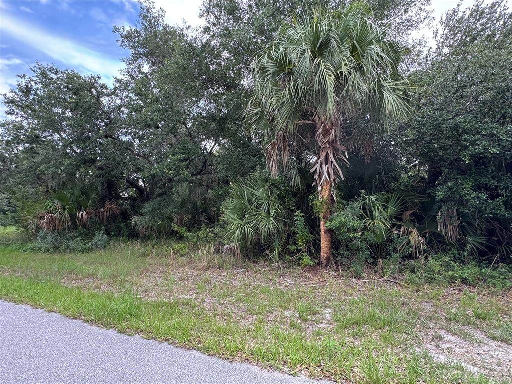 318 Leona Street - Photo 1