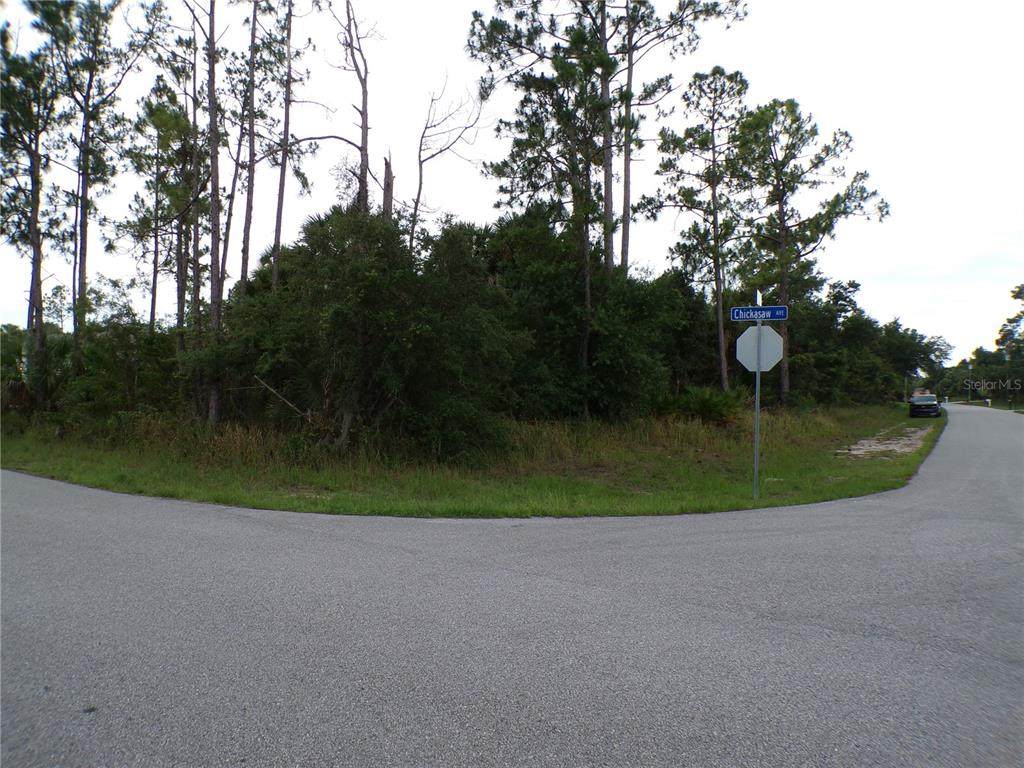  Chickasaw Avenue - Photo 1