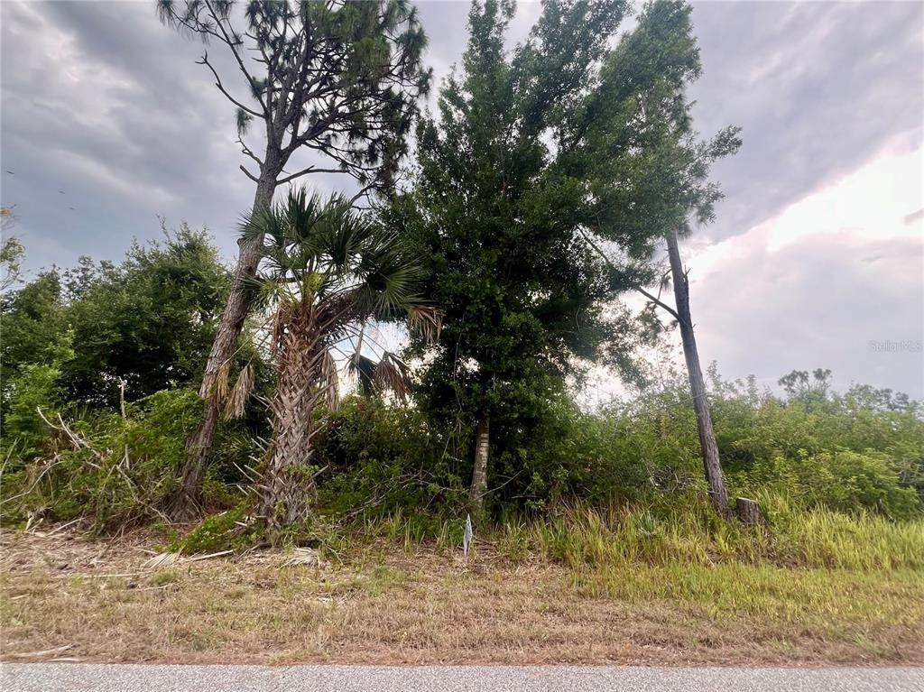 7370 Sioux Street - Photo 1