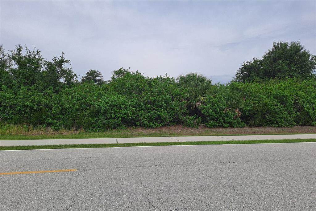 10022 Calumet Boulevard - Photo 1