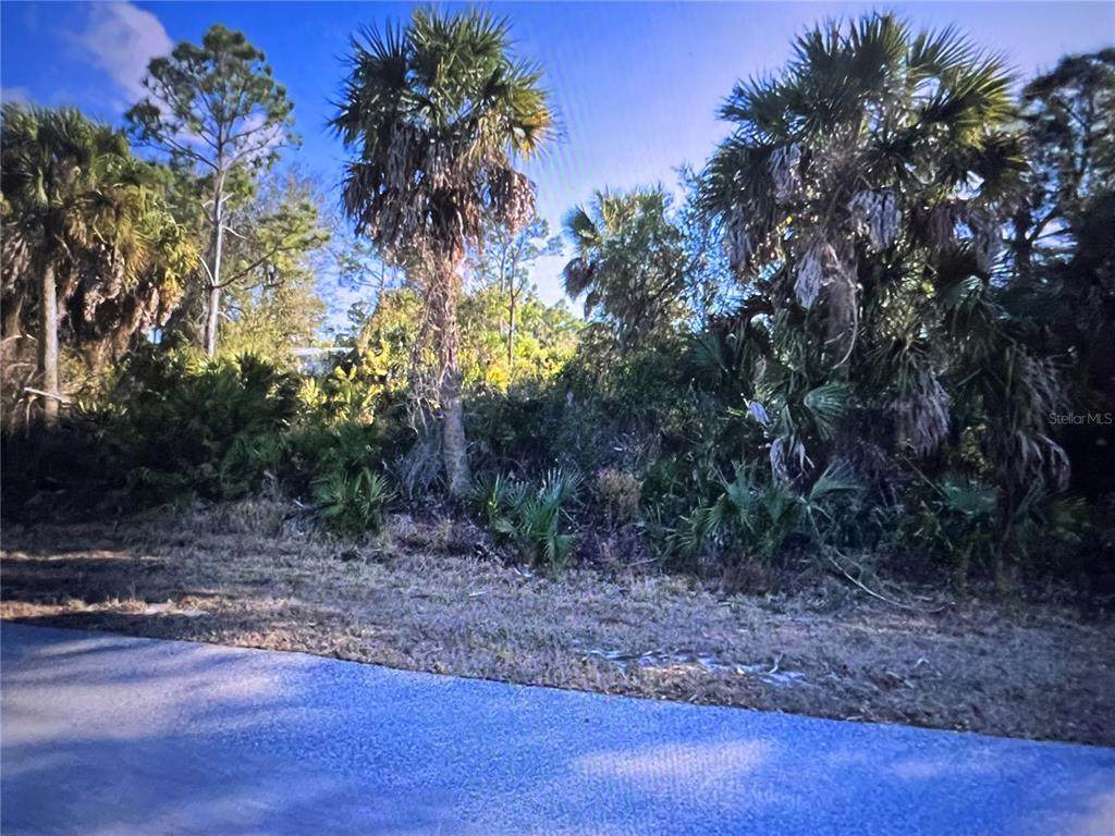 26319 Brooks Road - Photo 1