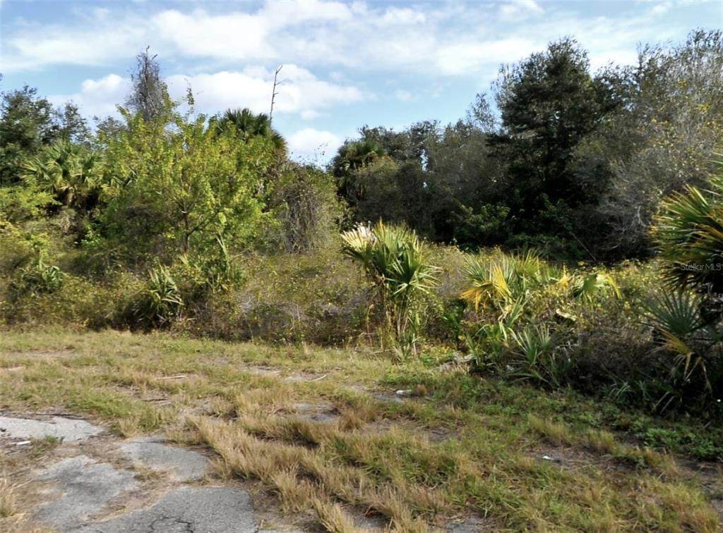  Dade Court - Photo 1