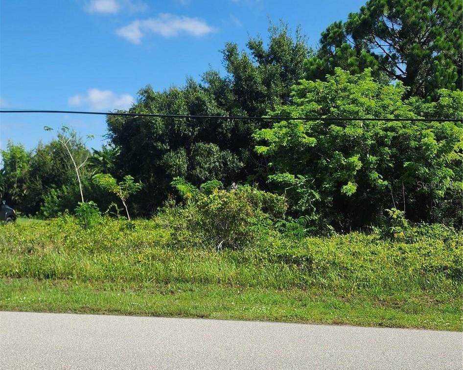 26532 Angelica Road - Photo 1